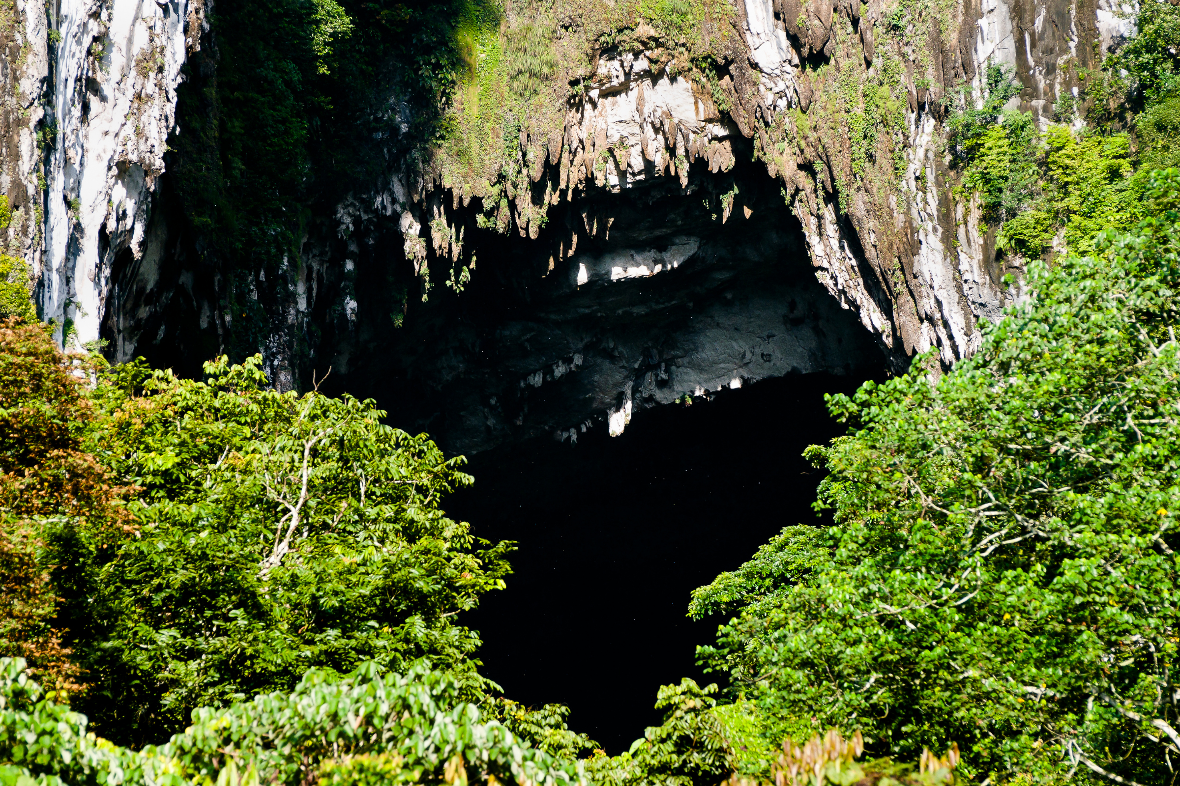 mulu national park (4).webp